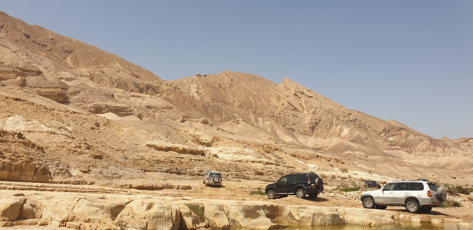 WhatsApp Image 2019-04-13 at 10.30.59 PM.jpeg.jpeg